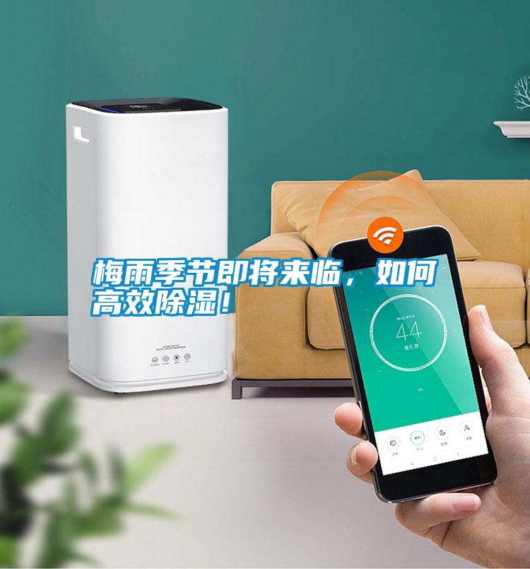 梅雨季節(jié)即將來臨，如何高效除濕！