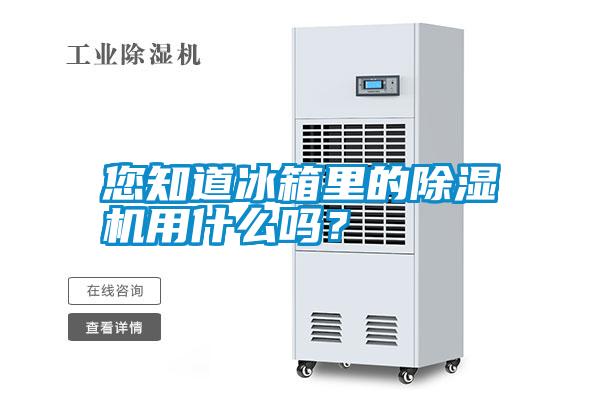 您知道冰箱里的除濕機(jī)用什么嗎？