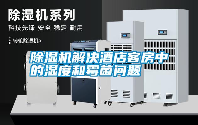除濕機解決酒店客房中的濕度和霉菌問題