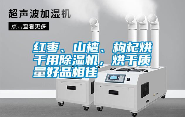 紅棗、山楂、枸杞烘干用除濕機(jī)，烘干質(zhì)量好品相佳
