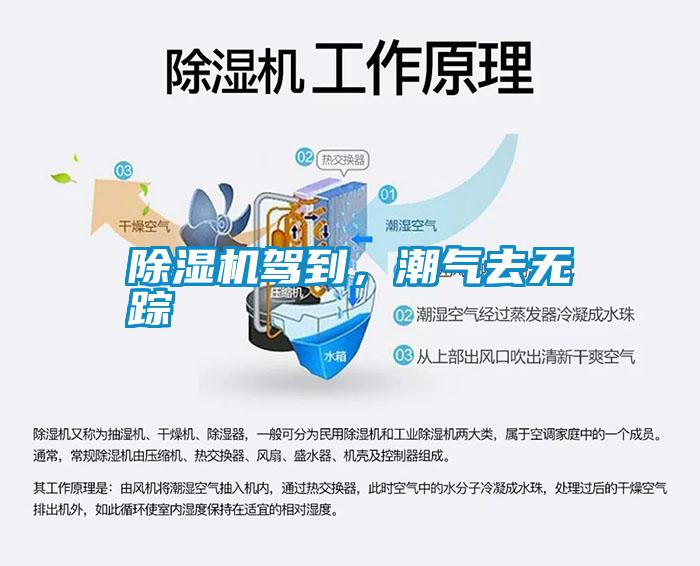 除濕機(jī)駕到，潮氣去無(wú)蹤