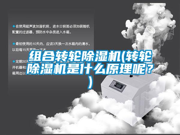 組合轉(zhuǎn)輪除濕機(轉(zhuǎn)輪除濕機是什么原理呢？)