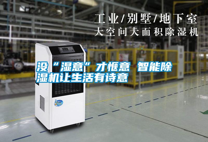 沒(méi)“濕意”才愜意 智能除濕機(jī)讓生活有詩(shī)意