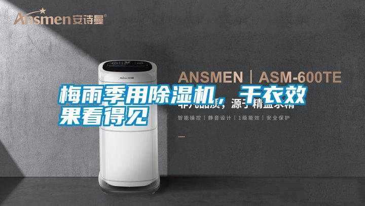 梅雨季用除濕機，干衣效果看得見