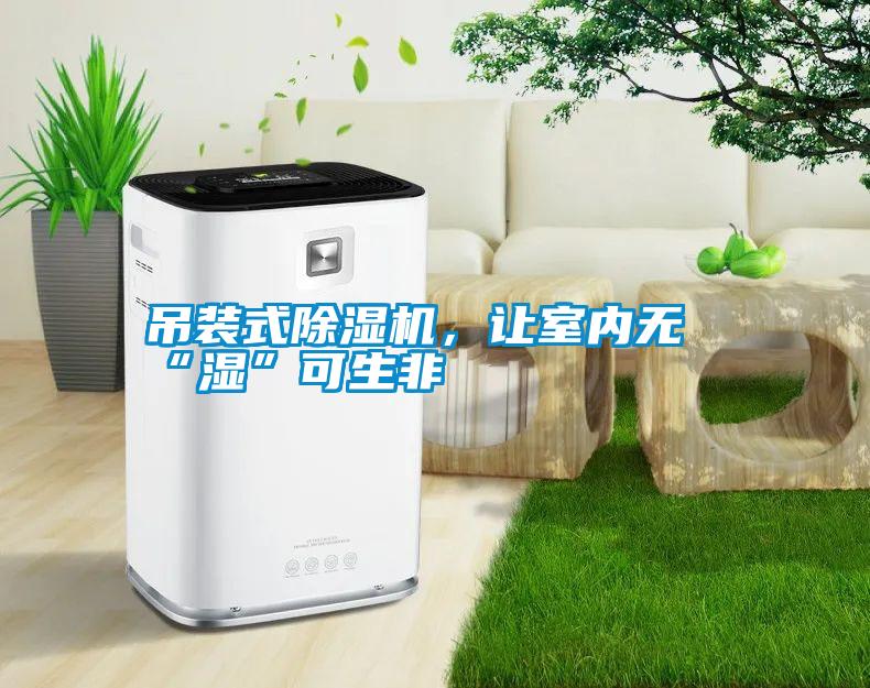 吊裝式除濕機(jī)，讓室內(nèi)無(wú)“濕”可生非