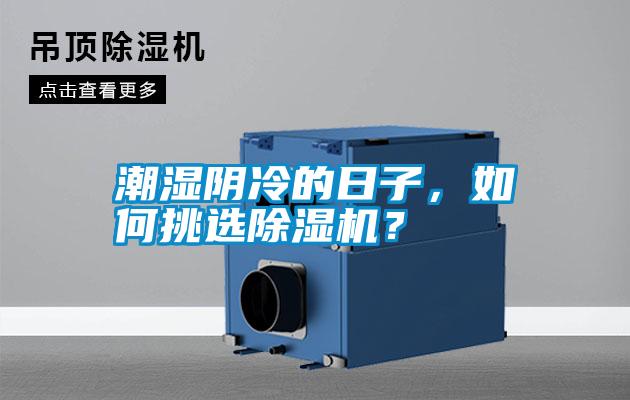 潮濕陰冷的日子，如何挑選除濕機(jī)？
