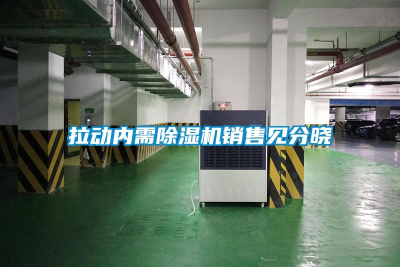 拉動(dòng)內(nèi)需除濕機(jī)銷售見分曉