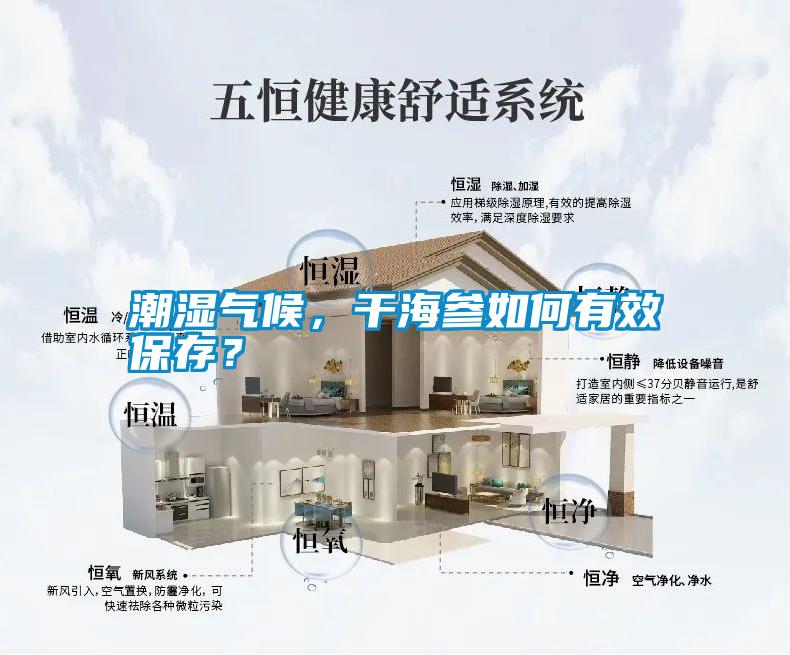 潮濕氣候，干海參如何有效保存？