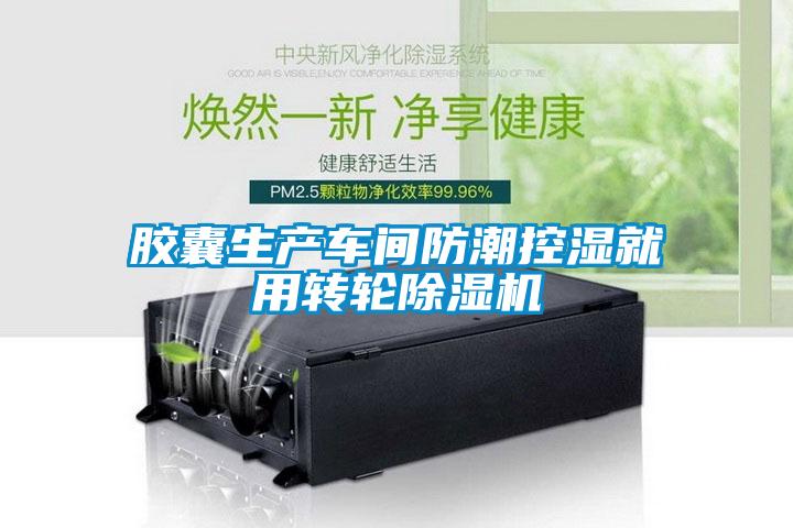 膠囊生產(chǎn)車(chē)間防潮控濕就用轉(zhuǎn)輪除濕機(jī)