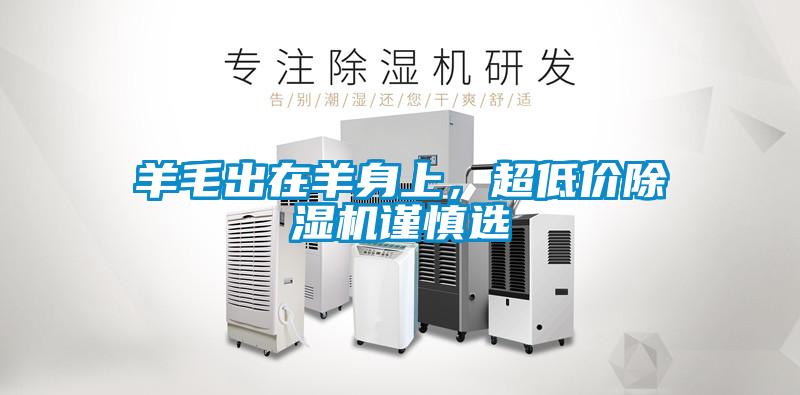 羊毛出在羊身上，超低價除濕機謹慎選