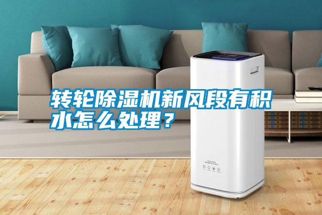 轉(zhuǎn)輪除濕機新風段有積水怎么處理？