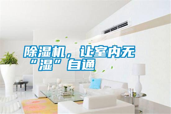 除濕機，讓室內(nèi)無“濕”自通