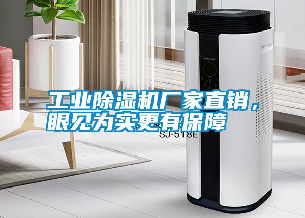 工業(yè)除濕機(jī)廠家直銷，眼見為實(shí)更有保障