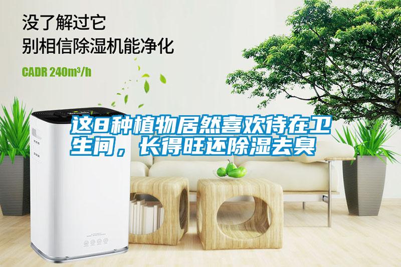 這8種植物居然喜歡待在衛(wèi)生間，長(zhǎng)得旺還除濕去臭