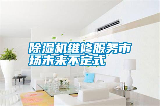 除濕機(jī)維修服務(wù)市場(chǎng)未來不定式