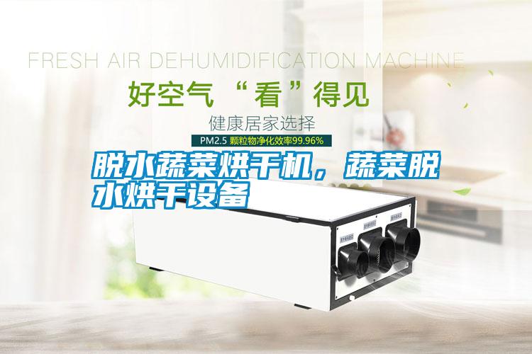 脫水蔬菜烘干機，蔬菜脫水烘干設備