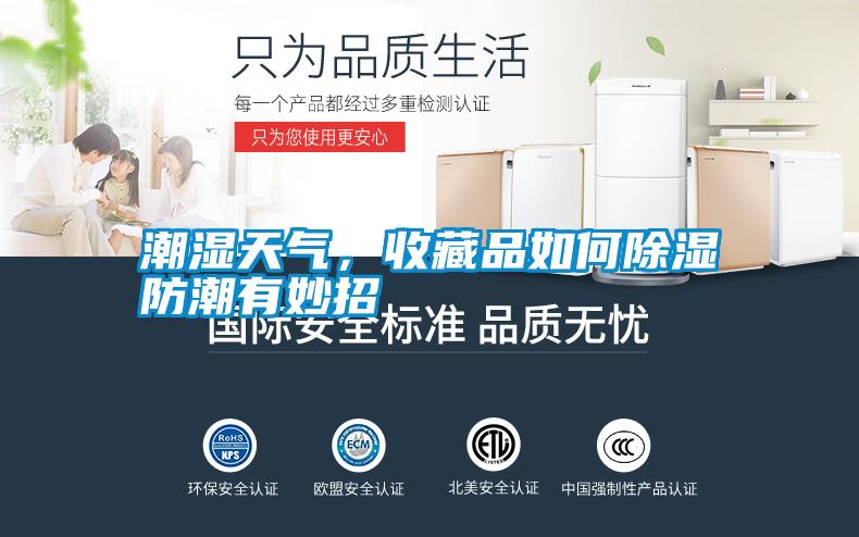 潮濕天氣，收藏品如何除濕防潮有妙招