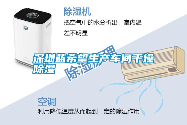 深圳藍希望生產(chǎn)車間干燥除濕