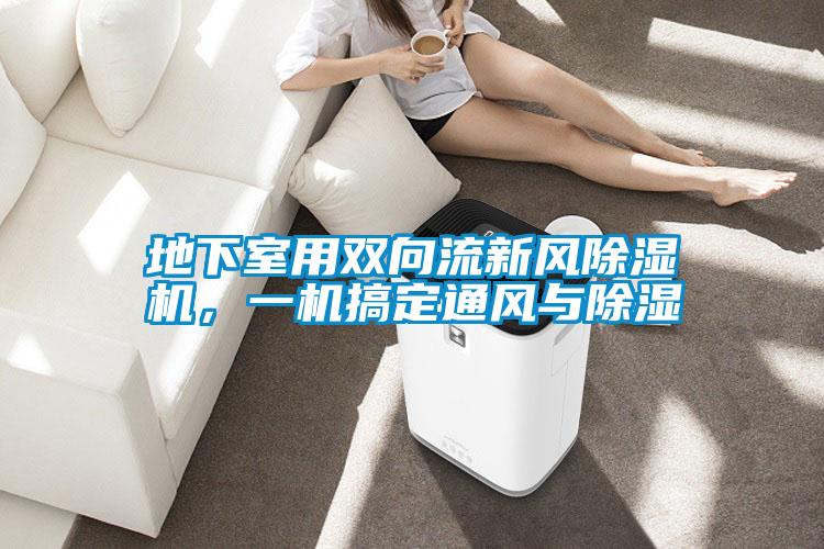 地下室用雙向流新風(fēng)除濕機(jī)，一機(jī)搞定通風(fēng)與除濕