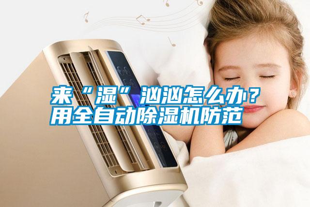 來“濕”洶洶怎么辦？用全自動(dòng)除濕機(jī)防范