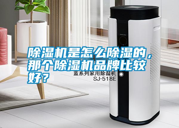 除濕機(jī)是怎么除濕的，那個(gè)除濕機(jī)品牌比較好？
