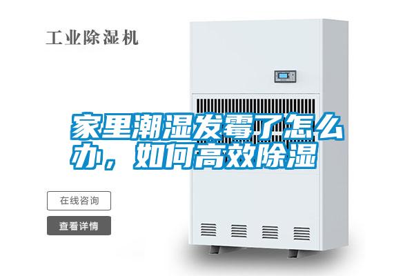 家里潮濕發(fā)霉了怎么辦，如何高效除濕