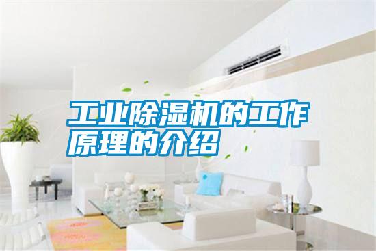 工業(yè)除濕機(jī)的工作原理的介紹