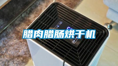 臘肉臘腸烘干機(jī)