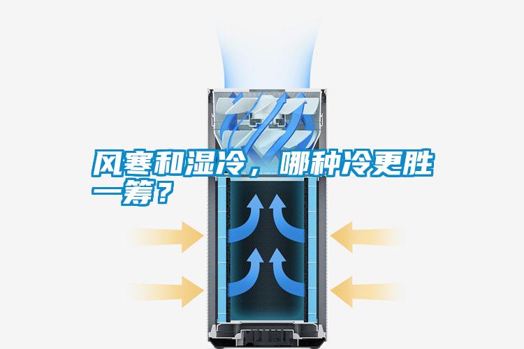 風(fēng)寒和濕冷，哪種冷更勝一籌？