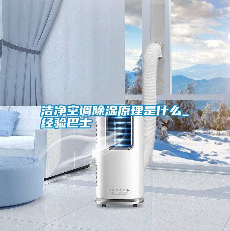 潔凈空調(diào)除濕原理是什么_經(jīng)驗巴士
