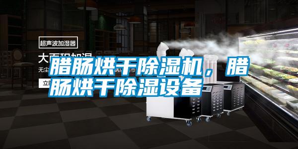 臘腸烘干除濕機(jī)，臘腸烘干除濕設(shè)備