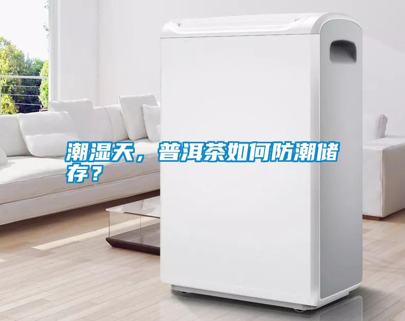潮濕天，普洱茶如何防潮儲存？