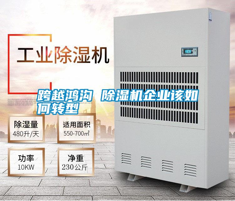 跨越鴻溝 除濕機企業(yè)該如何轉(zhuǎn)型