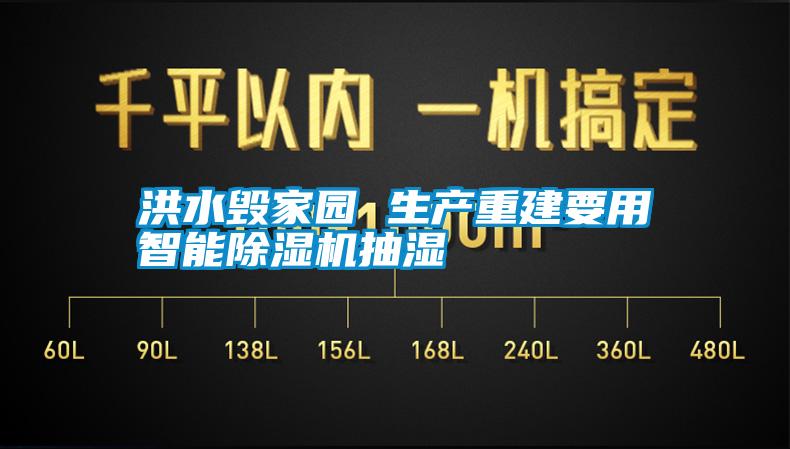 洪水毀家園 生產(chǎn)重建要用智能除濕機抽濕