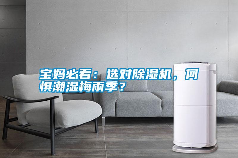 寶媽必看：選對除濕機，何懼潮濕梅雨季？