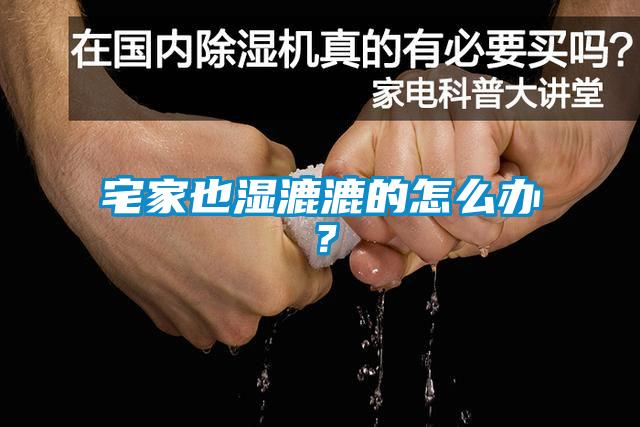 宅家也濕漉漉的怎么辦？