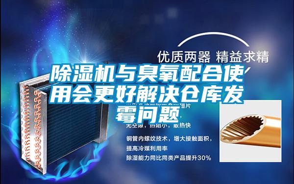 除濕機(jī)與臭氧配合使用會更好解決倉庫發(fā)霉問題