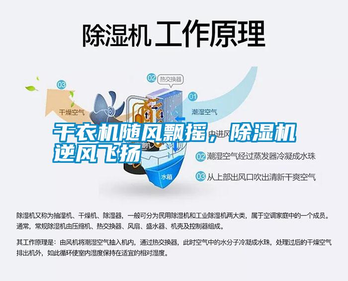 干衣機隨風(fēng)飄搖，除濕機逆風(fēng)飛揚