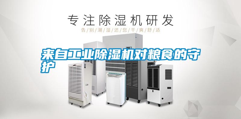 來自工業(yè)除濕機(jī)對(duì)糧食的守護(hù)