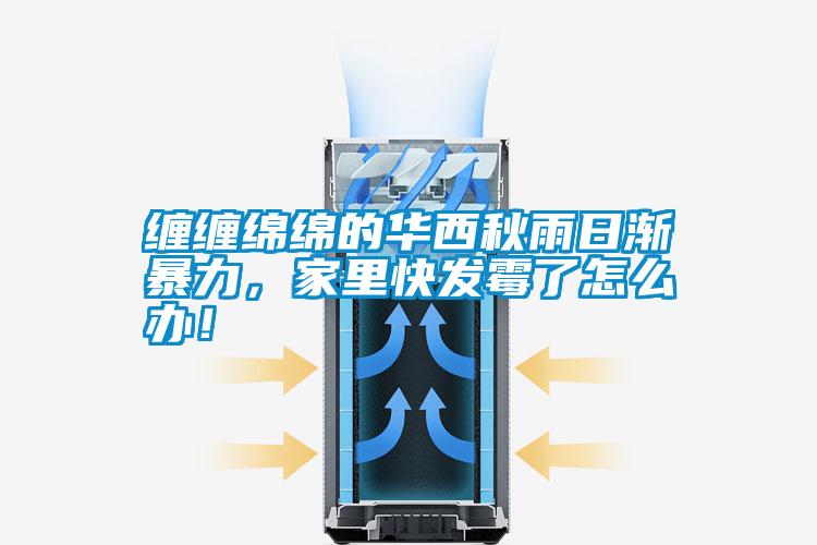 纏纏綿綿的華西秋雨日漸暴力，家里快發(fā)霉了怎么辦！