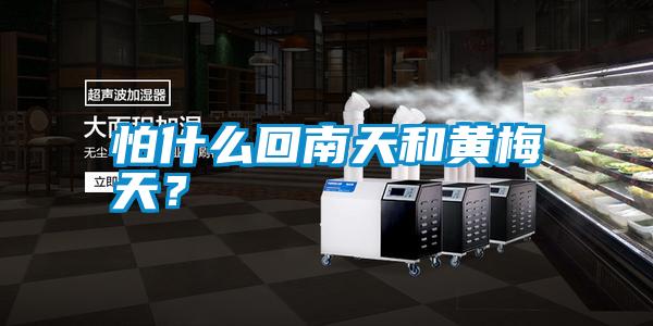 怕什么回南天和黃梅天？