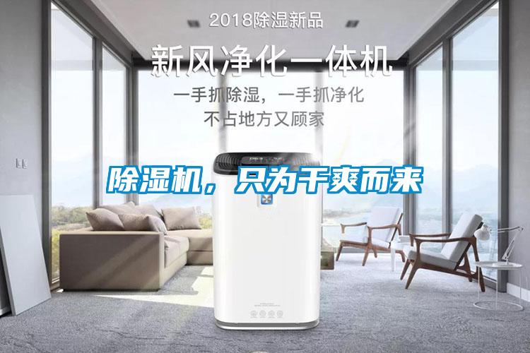 除濕機，只為干爽而來