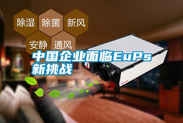 中國(guó)企業(yè)面臨EuPs新挑戰(zhàn)
