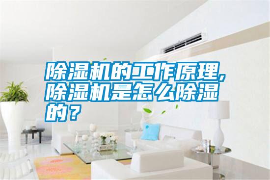 除濕機的工作原理,除濕機是怎么除濕的？