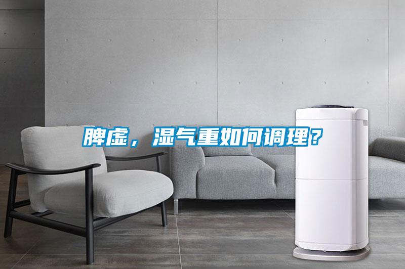 脾虛，濕氣重如何調(diào)理？