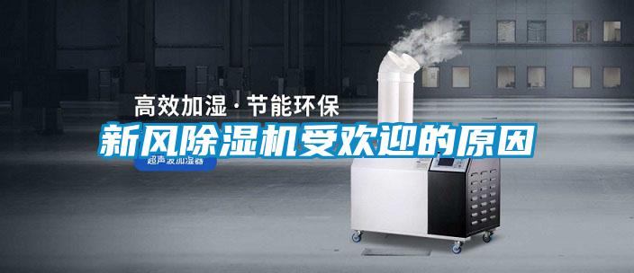 新風(fēng)除濕機(jī)受歡迎的原因