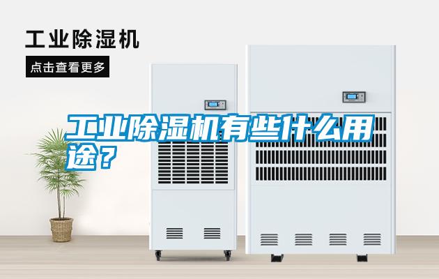 工業(yè)除濕機有些什么用途？