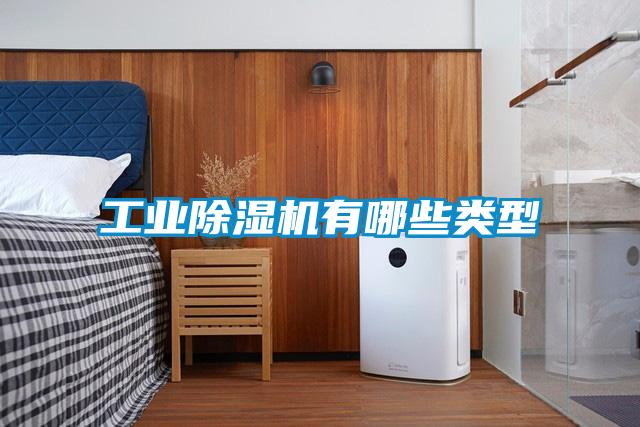 工業(yè)除濕機(jī)有哪些類型