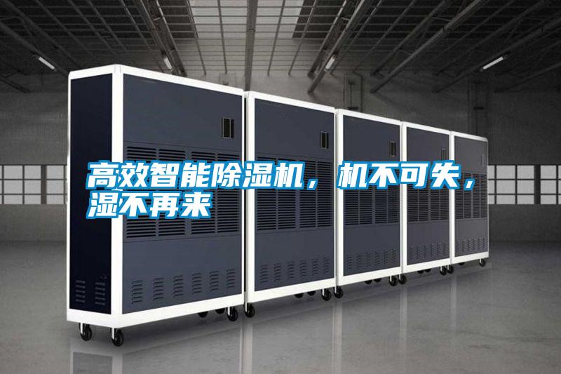 高效智能除濕機(jī)，機(jī)不可失，濕不再來