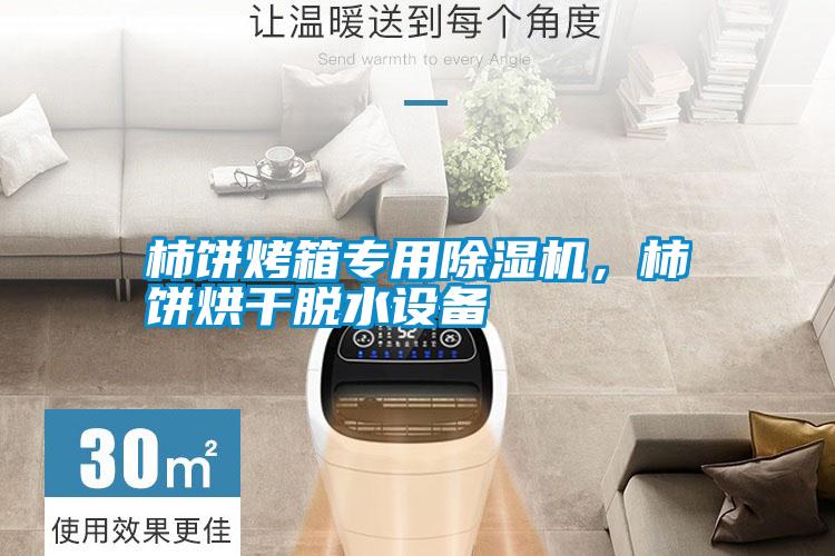 柿餅烤箱專用除濕機，柿餅烘干脫水設備